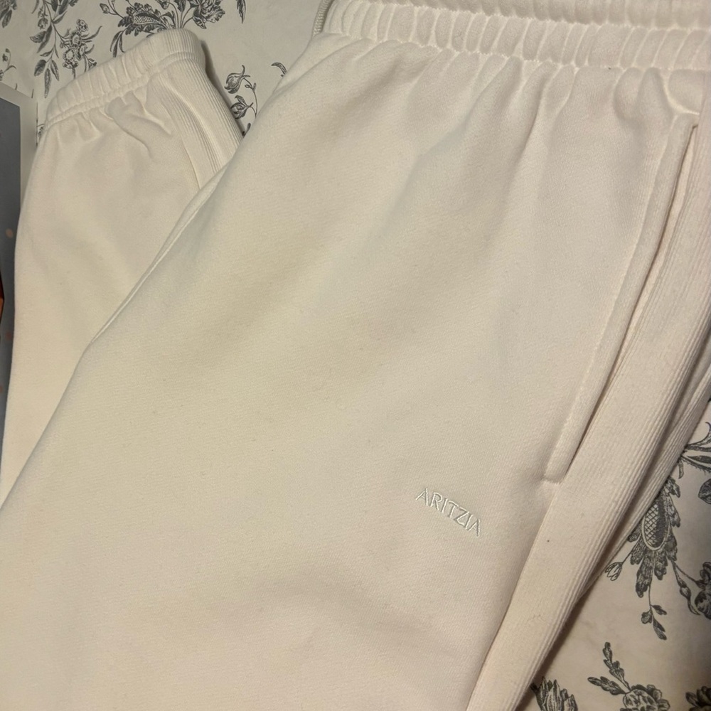 Aritzia Sweatpants